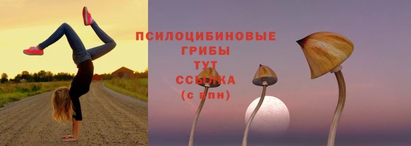 круглые Заволжье