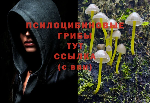 марки nbome Заводоуковск