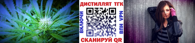 Купить где  Мураши  ТГК концентрат 
