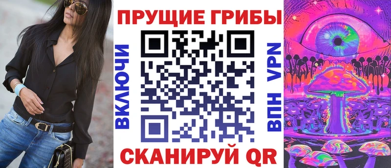 Купить где  Мураши  Галлюциногенные грибы Cubensis 
