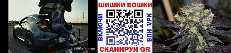 Купить закладки  Мураши  Каннабис марихуана 